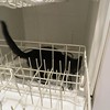 Inspecting dishwasher