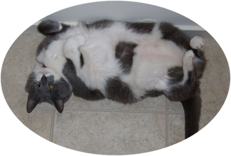 Moujik in the cockroach position