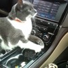 Your GPS stinks -follow my directions