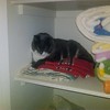 Keeping your towels warm