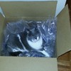 Sending Fedex or regular mail?