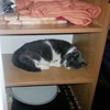 I love empty shelves