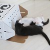 Out of the carrier