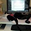 Team work, guarding the computer
