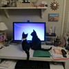 Messing up the computer