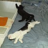 We are exhausted