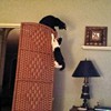 Testing furniture stability