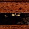 Inspecting underwear drawers