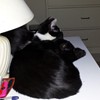 We sleep anywhere