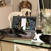 Sleeping on the job