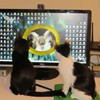WTF is that thing on the screen?