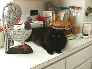 Sous Chef