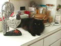 Sous Chef