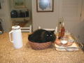 These bread baskets are so small ...