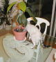Digging up plants is always fun