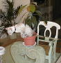 But sitting in flower pots is better