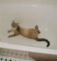 This is really dumb - a bathtub!